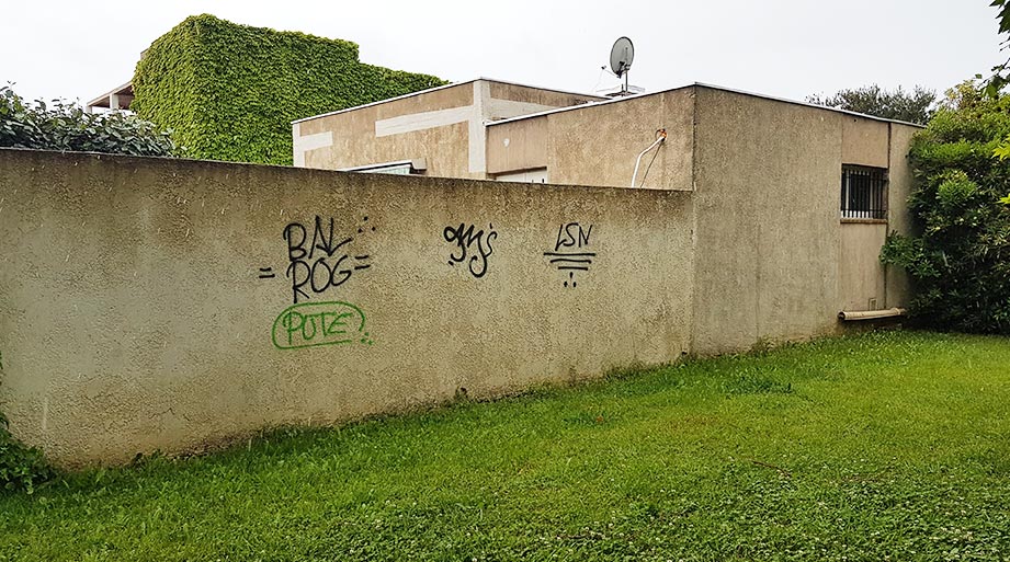 Mur avec graffitis, herbe verte, bâtiment en arrière-plan