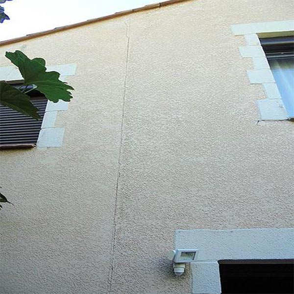 Façade de maison beige avec volets blancs et plante verte