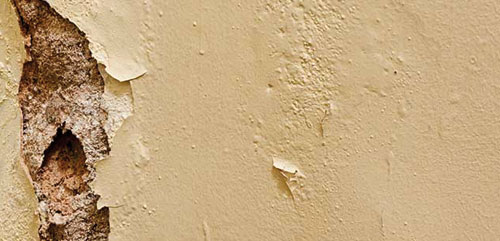 Peinture écaillée mur