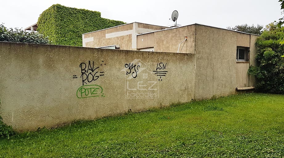 Mur avec graffitis, herbe verte, bâtiment en arrière-plan