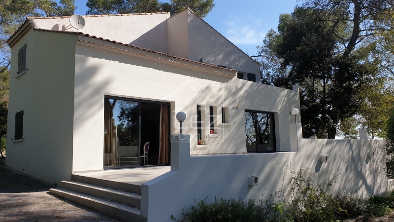 Maison blanche avec terrasse et arbres