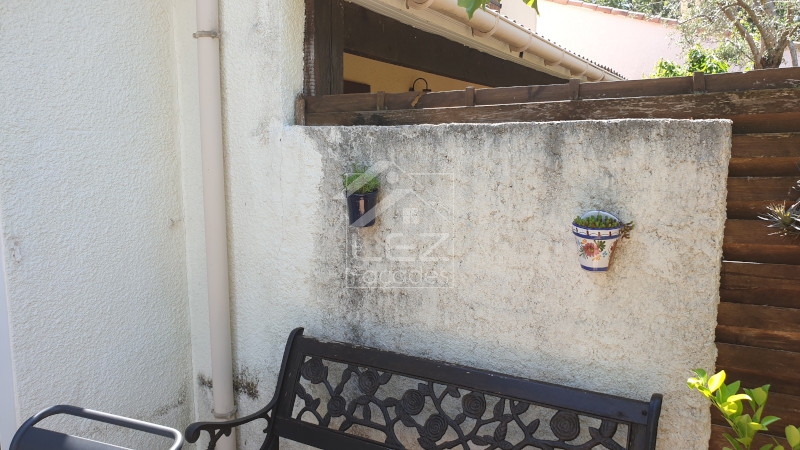 Plantes en pot sur mur extérieur